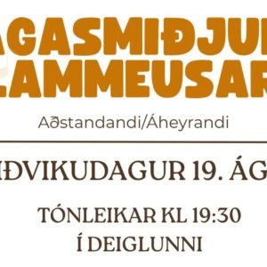Aðgangsmiði: Aðstandandi / Áheyrandi